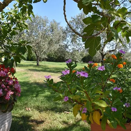 Casa vacanze Capo Comino *